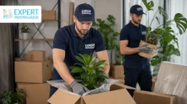 Transport roślin - jak zorganizować krok po kroku?